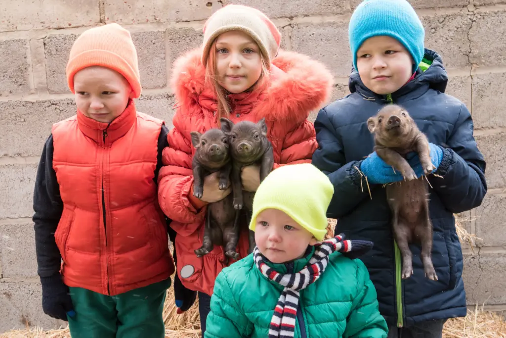 Children in winter coats holding piglets, symbolizing care and hope for The WebDev’s We Are All Ukrainians USA website redesign and donation UX story.
